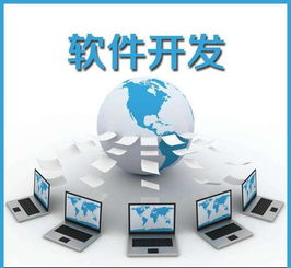 軟件定制開發如何實現持續穩步推進